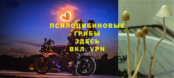 винт Нязепетровск