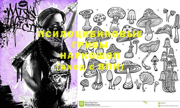 кокаин премиум Няндома
